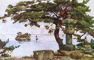 Pine Tree at Matsushima, Japan Print circa 1910s