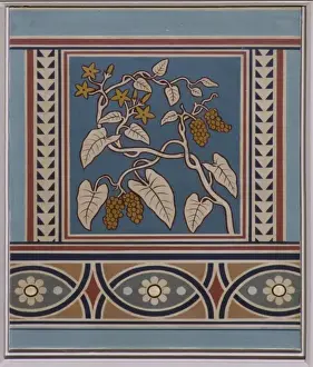 Natural History Museum Interior Prints: Piper ribesioides, pepper