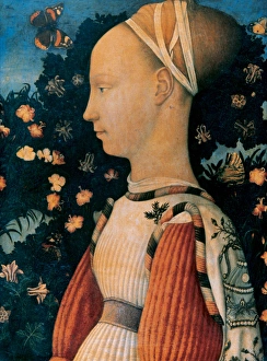 Pisanello (c. 1395-probably 1455). Portrait of a Princess of Pisanello (c. 1395-probably 1455). Portrait of a Princess of