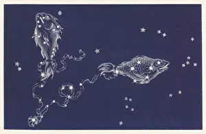Star Chart Prints: Pisces Constellation Print