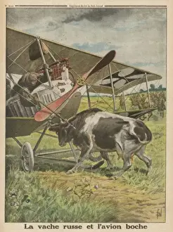 Russian Countryside Landscape Prints: Plane Meets Cow