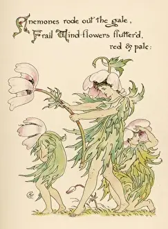 Anemone Flower Prints: Plants / Anemone