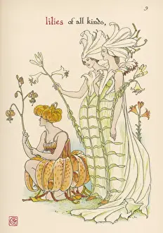 Symbolic Flower Meanings Prints: Plants / Lilium Sp