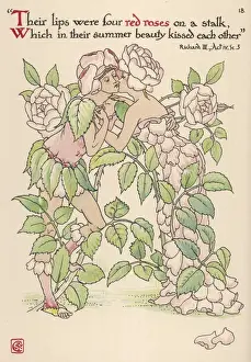 Rosa ROSES Print, a personified botanical illustration