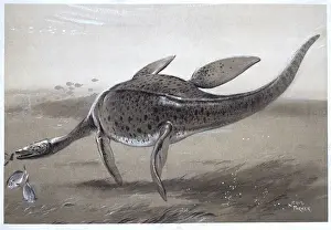 Prehistoric Marine Reptile Prints: Plesiosaur
