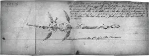 Plesiosaur Fossil Print from Mary Anning's Discovery