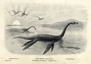 Prehistoric Sea Creatures Prints: Plesiosaurus dolichodeirus with cuttlefish and pterodactyls