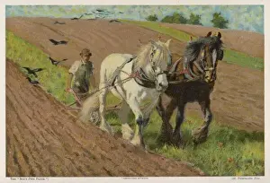 Ploughing With Horses Prints: Ploughing in 1903