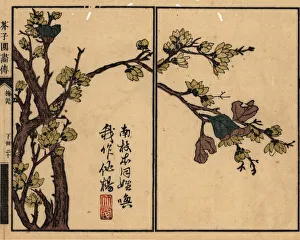 Plum blossom branch with calligraphy and seal Plum blossom branch with calligraphy and seal