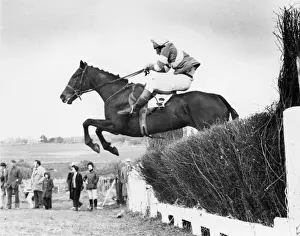 Point To Point Racing Prints: Point to Point