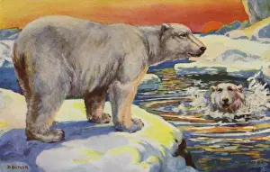 Polar Bear Print, 1923