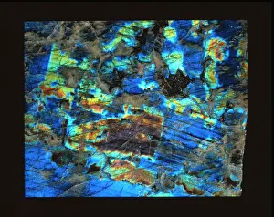 Polished Labradorite Prints: Polished slab of labradorite
