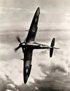Spitfire Prints: Supermarine Spitfire XIV Print: Knife-edged Profile