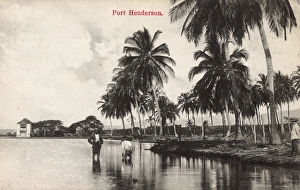 Port Henderson (Portmore), Jamaica, West Indies Port Henderson (Portmore), Jamaica, West Indies