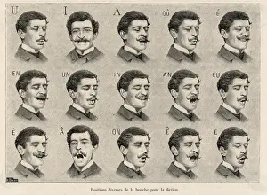 Positions for Speaking Print: A Guide to Mouth Positions