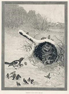 Possession is nine points of the law by Louis Wain Possession is nine points of the law by Louis Wain