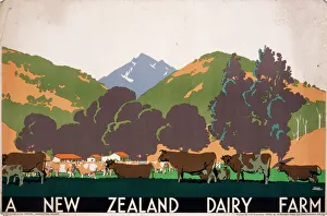 Poster advertising a New Zealand Dairy Farm Poster advertising a New Zealand Dairy Farm