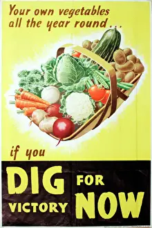 Dig For Victory Now Print 1940s Poster