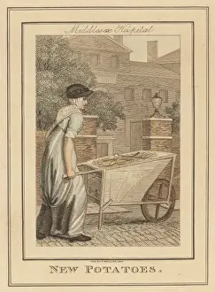 Middlesex Hospital History Prints: Potato Trader