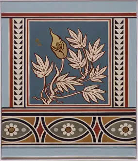 Natural History Museum Interior Prints: Pothos glaucus