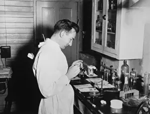 Laboratory Technician Prints: Preparing Lab Slide 50S