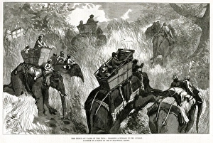 Prince of Wales in Nepal Terai, shooting bears 1876 Prince of Wales in Nepal Terai, shooting bears 1876