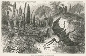 Pterodactyl Print from the Lassic Period