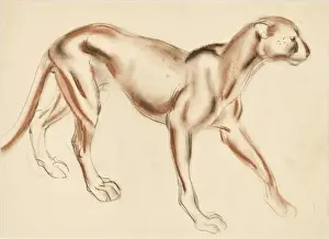 Raymond Sheppard Art Prints: A Puma - pastel study