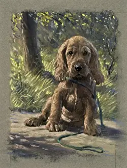 Pastel Print of a Puppy on a Garden Path