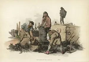 Mary Evans Prints Online Collection Prints: Pyne - Coal Heavers