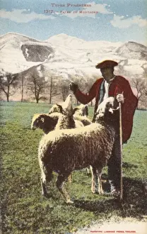 Pyrenees Mountain Landscape Prints: Pyrenean Shepherd and his flock