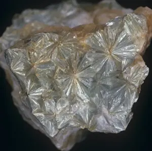 Pyrophyllite Print: Green Radiating Quartz in Berezovsk Russia