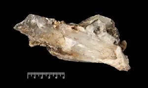 Ferdinand Bauer Artwork Prints: Quartz crystal