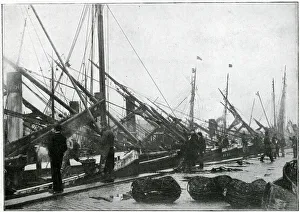 Quay at Great Yarmouth - Herring Harvest 1905 Quay at Great Yarmouth - Herring Harvest 1905