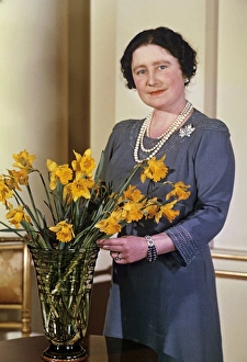 Queen Mother arranging a vase of daffodils Queen Mother arranging a vase of daffodils