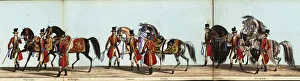 Six of the Queens Horses in Queen Victoria's coronation Six of the Queens Horses in Queen Victoria's coronation
