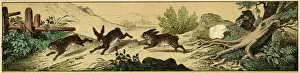 Hunter With Rifle Prints: Rabbit hunting