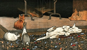 The rabbits join the other animals by the fire The rabbits join the other animals by the fire