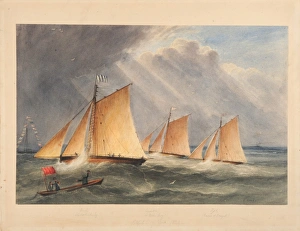 Race Won at the Belfast Regatta, by the Ariel, John McCracke Race Won at the Belfast Regatta, by the Ariel, John McCracke
