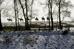 Racehorses exercising in the snow, Staffordshire, England Racehorses exercising in the snow, Staffordshire, England