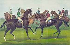 American Horse Racing Prints: Racing cracks at the starting post