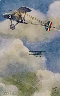 Historical Flight Planes Prints: RAF F E 8