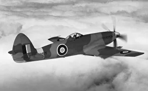 RAF Supermarine Spiteful Fxiv / F-14 Flying RAF Supermarine Spiteful Fxiv / F-14 Flying