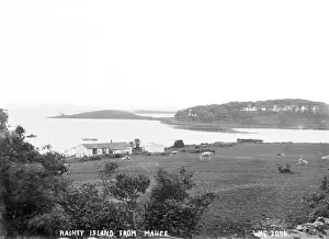 Northern Ireland Coastal Views Prints: Rainey Island from Mahee