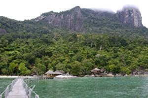 Rainforest, a jetty and a wooden cabins of the Rainforest, a jetty and a wooden cabins of the