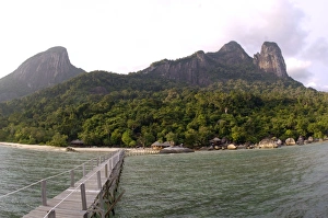 Rainforest, volcanic Twin Peaks - Bukit Batu Rainforest, volcanic Twin Peaks - Bukit Batu
