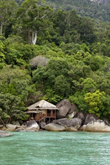 Rainforest and a wooden cabin of the Bagus Place Rainforest and a wooden cabin of the Bagus Place