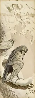 A Raven on a Snowy Perch Print