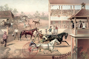Ready for the trot: bring up your horse Ready for the trot: bring up your horse