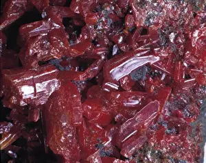 Natural History Museum Specimens Prints: Realgar